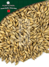 麦芽,未硫化的大麦果实